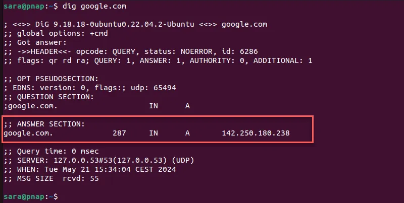 Output of dig google.com with the DNS answer section highlighted.