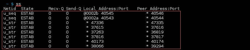 Output of ss showing socket states, queues, and local and peer addresses.